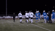 Iwutitans Tgoe GIF by iwusports