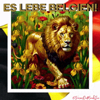 Nationalfeiertag Mohnblumen GIF by TresorsDuMonde.ca