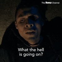 Most Dangerous Game New York GIF by The Roku Channel