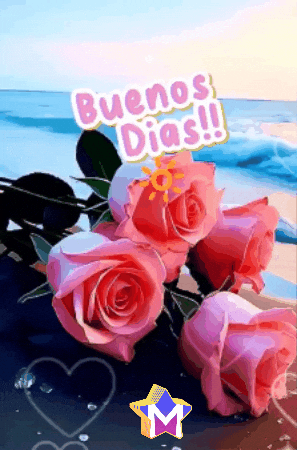 Sol Crece GIF by Murcianys LLC