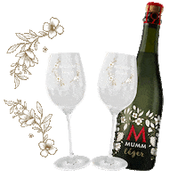 MummArgentina mumm mummlegerspritz mummléger mummspritz Sticker