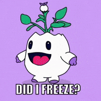 Zoom Emmy GIF by Magic Eden