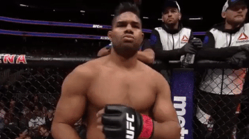 ufc 209 GIF