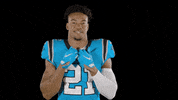 Happy Come On GIF by Carolina Panthers