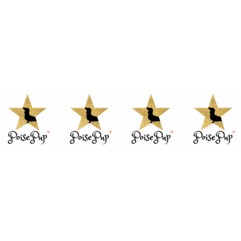 poisepup dog dogs puppy puppies Sticker