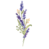 Lavanda Sticker by Adula Brasil