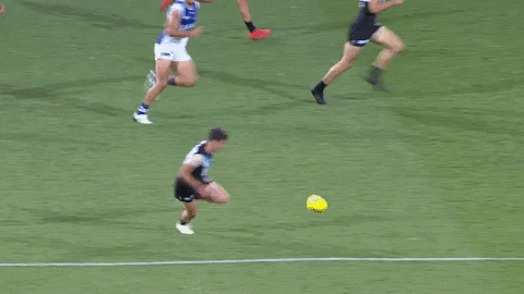 Afl Zak Butters GIF by Port Adelaide FC