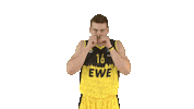 Ewe Baskets Basketball Sticker by EWE Baskets Oldenburg
