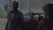 TheAvenue_Film animals tiger florida wild animals GIF