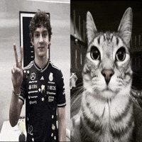 Formula 1 F1 GIF