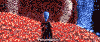 Presentation GIF