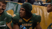 north dakota state football GIF by NDSU Athletics