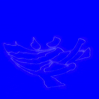 Digital Art Animation GIF by Ellen Lo