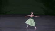 dance GIF by New York City Ballet