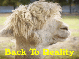 Youre Back Monday Morning GIF by Sealed With A GIF