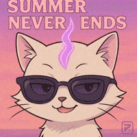 Carry Me Cool Cat GIF by Persona