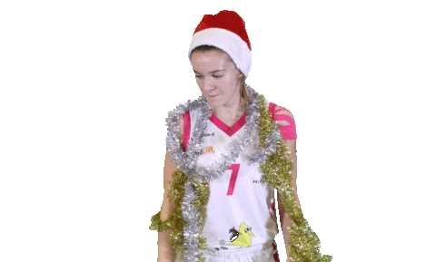 FoA_Naiset giphyupload sports christmas basketball Sticker