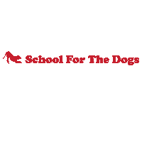 Dogs Dog Training Sticker by SchoolForTheDogs