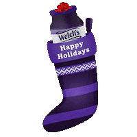 Welchsholidaysilverman Sticker by Welch's