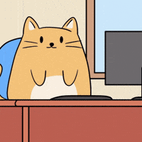 Cat Working GIF by MESA My Emotional Support Animal