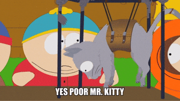 Poor Mr. Kitty 