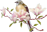 pretty in pink STICKER