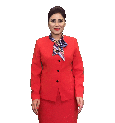 Welcome Aboard Cabin Crew Sticker by Pure Bhangra