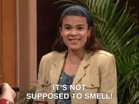 all that nicksplat GIF