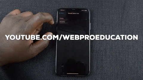 webproeducation giphygifmaker iphone dual sim iphone defult sim card GIF