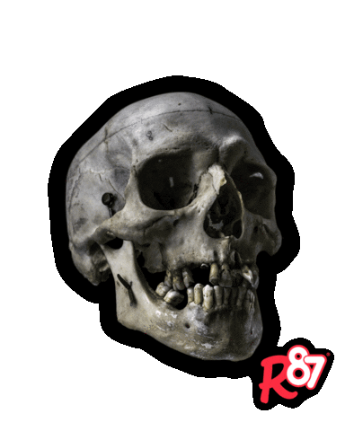 reference87 reference reference87 redefiningreference madewithr87 Sticker