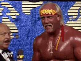 Hulk Hogan Sport GIF by WWE