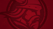 Minnesota Vikings University GIF by Bethany Lutheran College