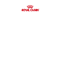 Rcbrasil Sticker by Royal Canin Brasil