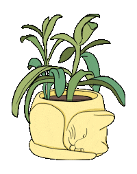 Cat Illustration Sticker by sublinhando