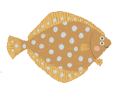 Fisch Sticker by Jupitermond Verlag
