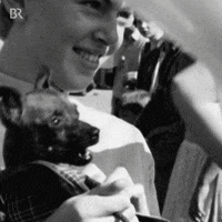 Black And White Dog GIF by Bayerischer Rundfunk