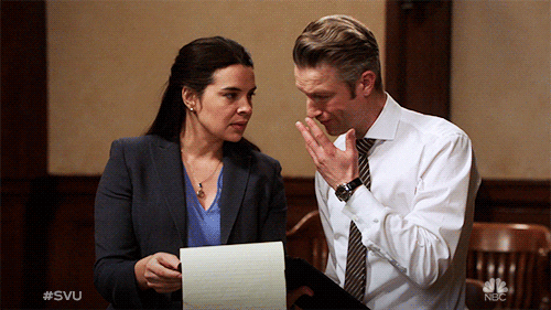 Law And Order Svu Nbc GIF by SVU