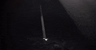 oregon GIF