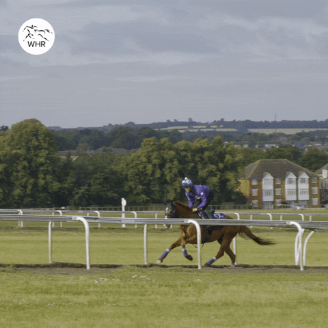Cheval Grand GIF by World Horse Racing