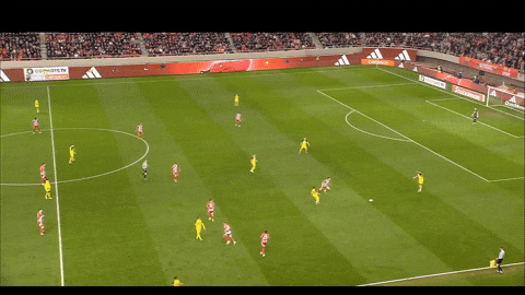 giorgoszourntos giphyupload GIF