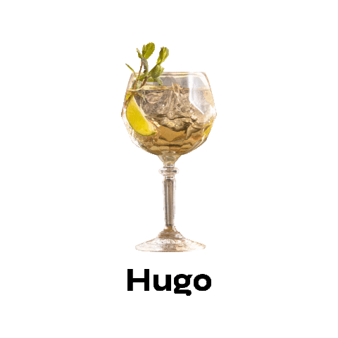 gamondi giphyupload hugo spirits americano Sticker
