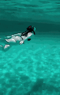 Happy Road Trip GIF by The3Flamingos