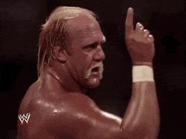 wrestlemania vi wrestling GIF by WWE