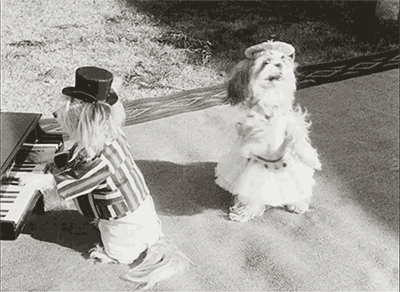 Video gif. Dog in an old timey dress spins around on her back feet in a circle while another dog dressed in a top hat and striped jacket plays the piano.