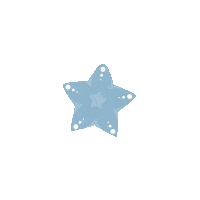 islandmedia sea diving starfish snorkling Sticker