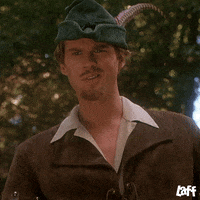 Robin Hood What GIF by Laff