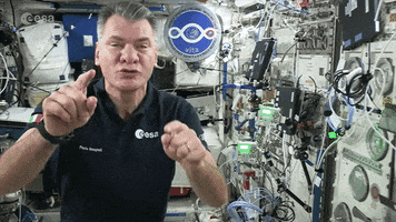 join us italian GIF