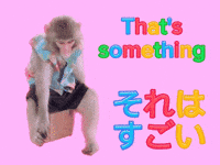 Fun Monkey GIF