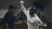 fist pump GIF by MLB
