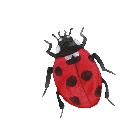 Garden Bug Sticker